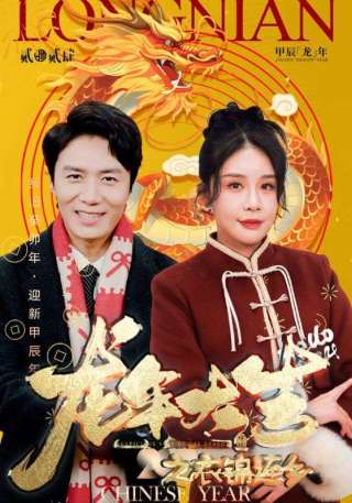 短剧龙年大吉之衣锦还乡海报