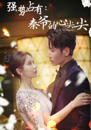 短剧强势占有：秦爷的心尖尖海报