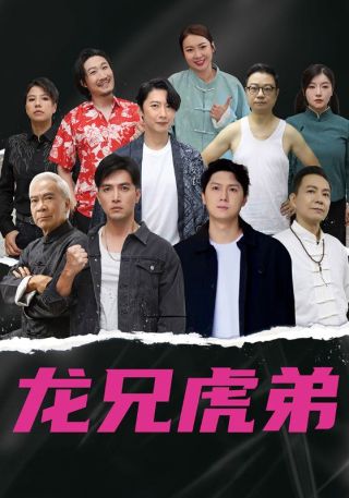 短剧龙兄虎弟海报