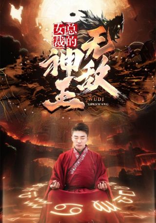 短剧女总裁的无敌神王海报