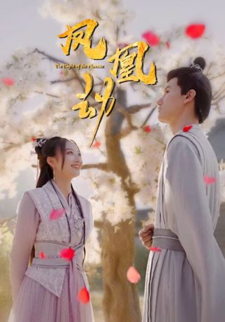 短剧凤凰劫海报