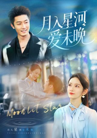 短剧月入星河爱未晚海报