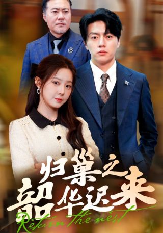 短剧归巢之韶华迟来海报