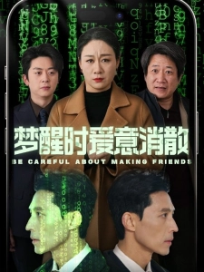 短剧梦醒时爱意消散海报