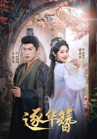 短剧逐华簪海报