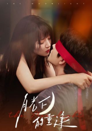 短剧月光下的重逢海报