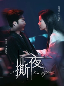 短剧撕夜海报