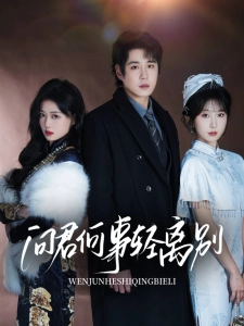 短剧问君何事轻离别海报