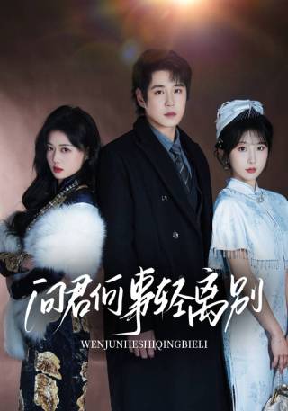 短剧问君何事轻离别海报