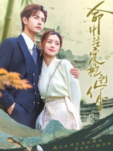 短剧命中注定挖到你海报