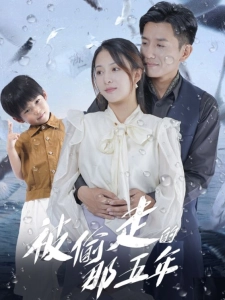 短剧被偷走的那五年海报