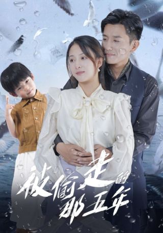 短剧被偷走的那五年海报