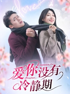 短剧爱你没有冷静期海报