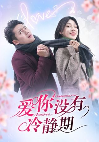 短剧爱你没有冷静期海报