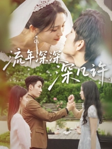 短剧流年深深深几许海报