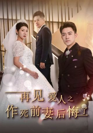 短剧再见爱人之作死前妻后悔了海报