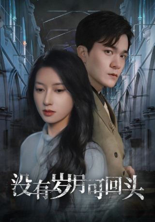 短剧没有岁月可回头海报