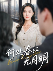短剧何处春江无月明海报