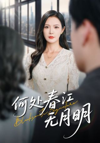 短剧何处春江无月明海报