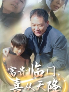 短剧富贵临门，喜从天降海报