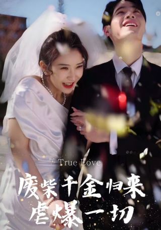 短剧废柴千金归来虐爆一切海报