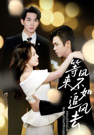 短剧等风来不如追风去海报