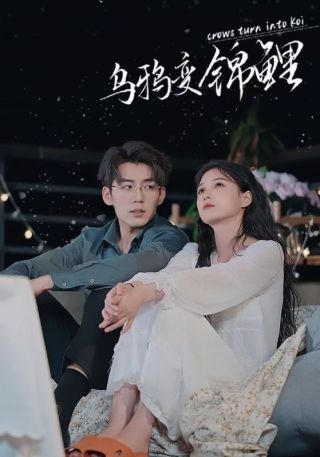 短剧乌鸦变锦鲤海报