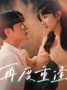 短剧再度重逢海报