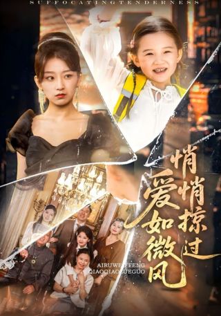 短剧爱如微风悄悄掠过海报