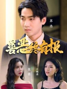 短剧善恶终有报海报