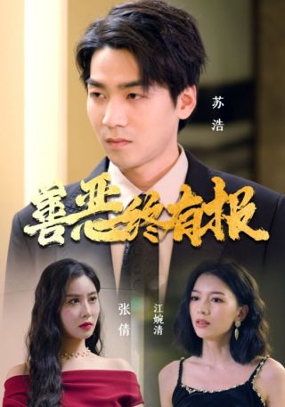 短剧善恶终有报海报