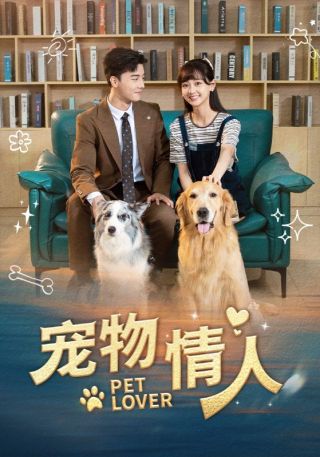 短剧宠物情人海报