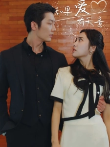 短剧如果爱有天意海报