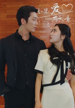 短剧如果爱有天意海报