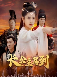 短剧长公主驾到海报