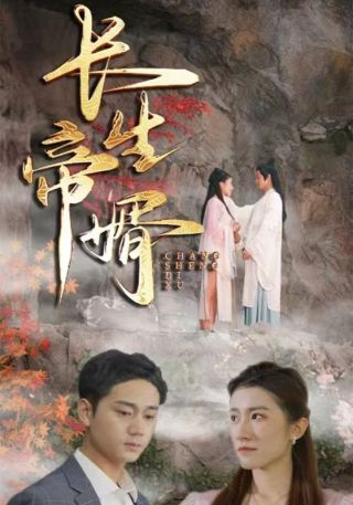 短剧长生帝婿海报