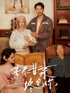 短剧苦尽甘来终见你海报