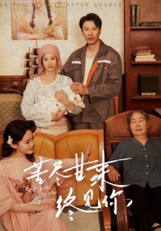 短剧苦尽甘来终见你海报