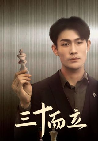 短剧三十而立海报