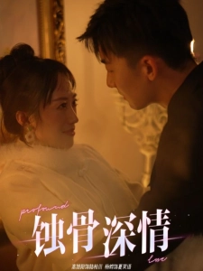 短剧蚀骨深情海报