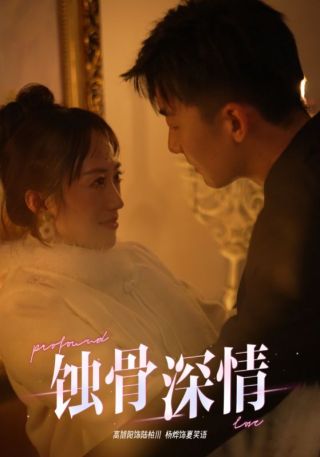 短剧蚀骨深情海报