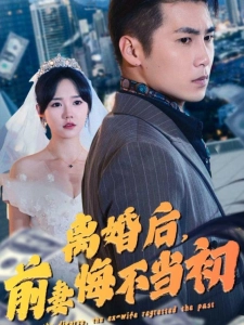 短剧离婚后，前妻悔不当初海报