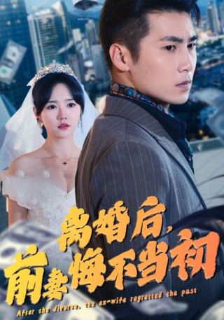 短剧离婚后，前妻悔不当初海报