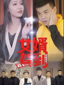 短剧女婿驾到海报