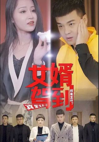 短剧女婿驾到海报