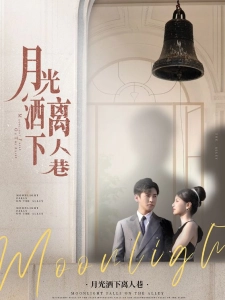 短剧月光洒下离人巷海报