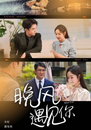 短剧晚风遇见你海报