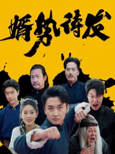 短剧婿势待发海报