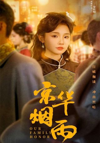 短剧京华烟雨海报