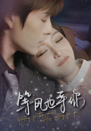短剧等风也等你海报